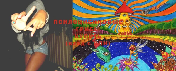 эйфоретик Медногорск