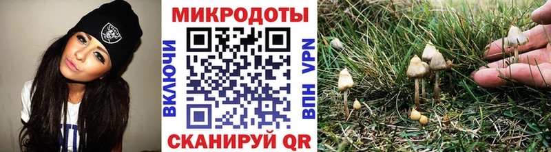 Галлюциногенные грибы мицелий  Купить  Оленегорск 
